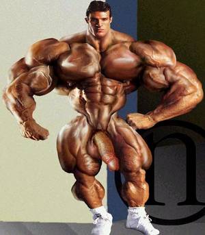 morphed cocks - 