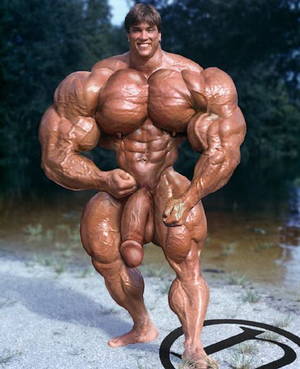 morphed cocks - 
